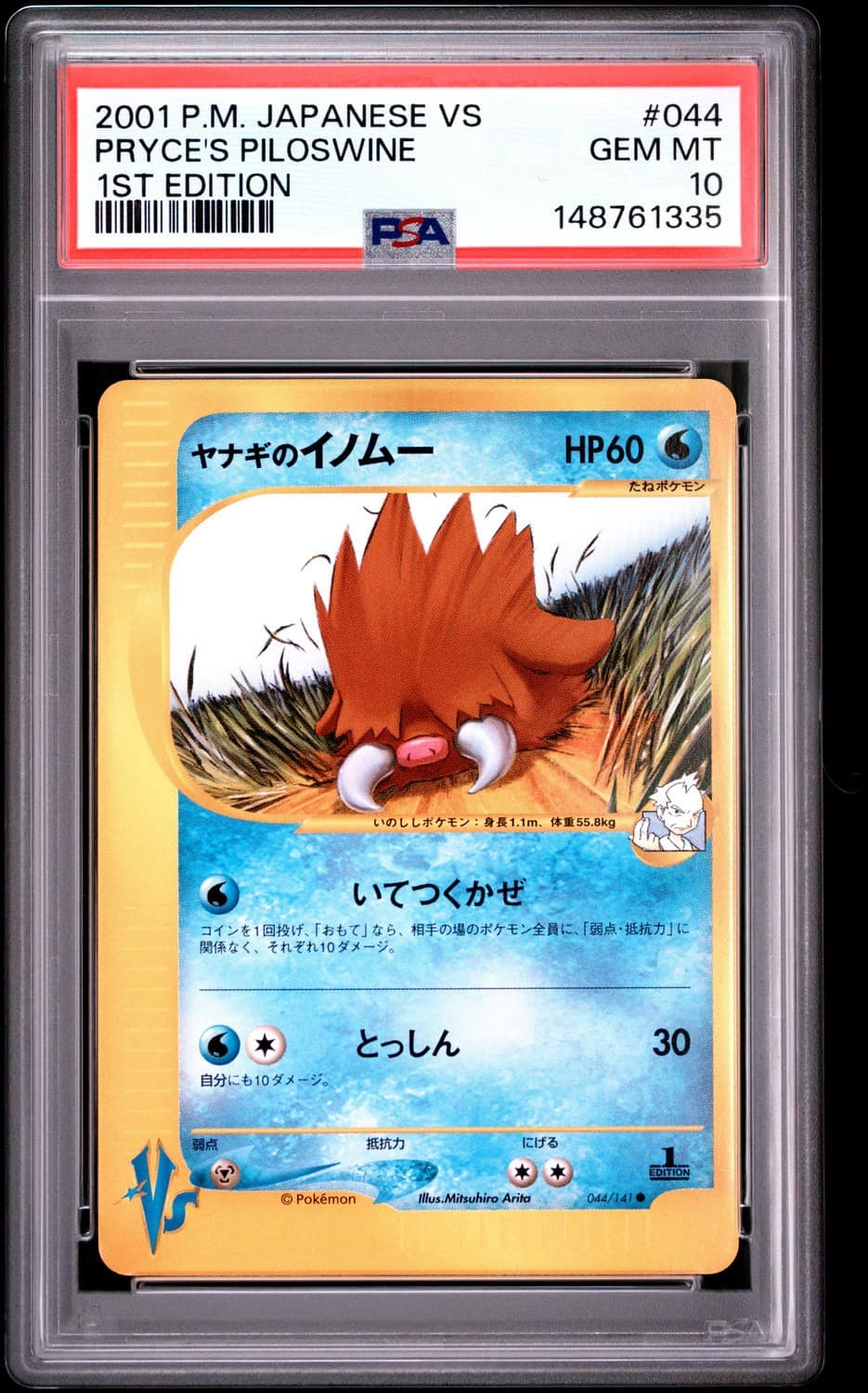 Pryce'S Piloswine