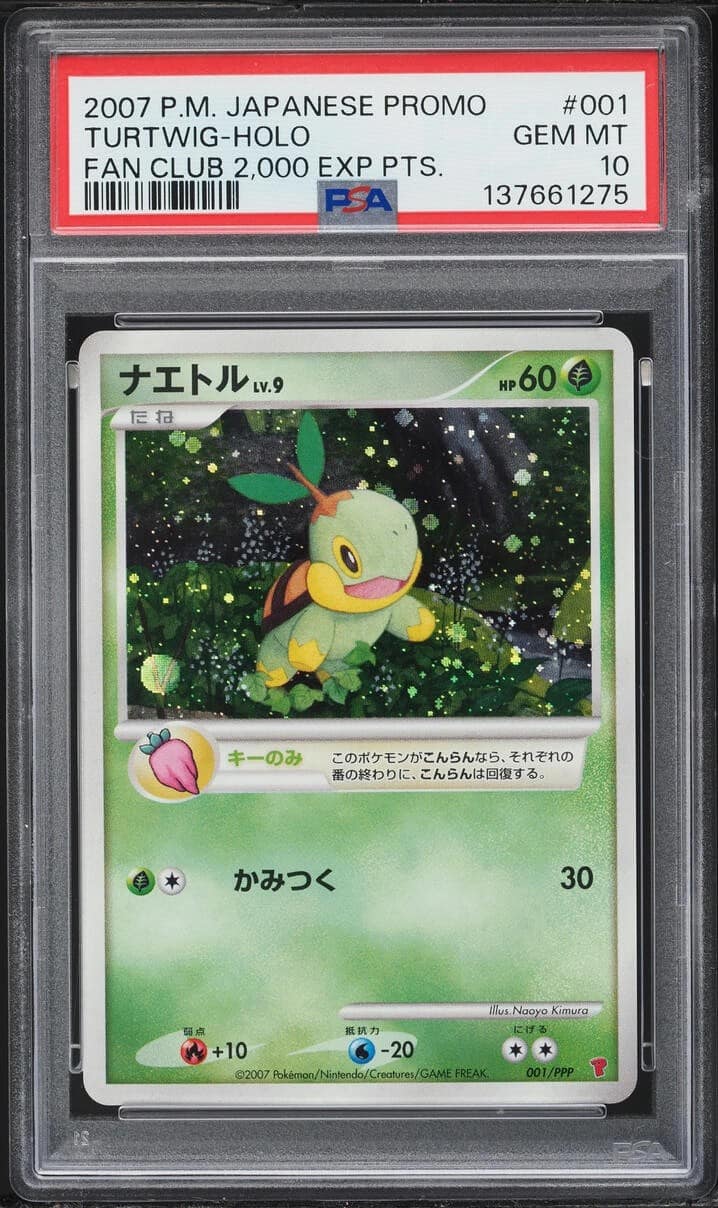 Turtwig