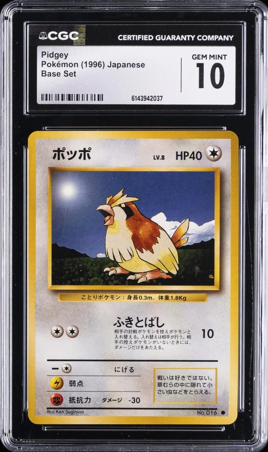 Pidgey