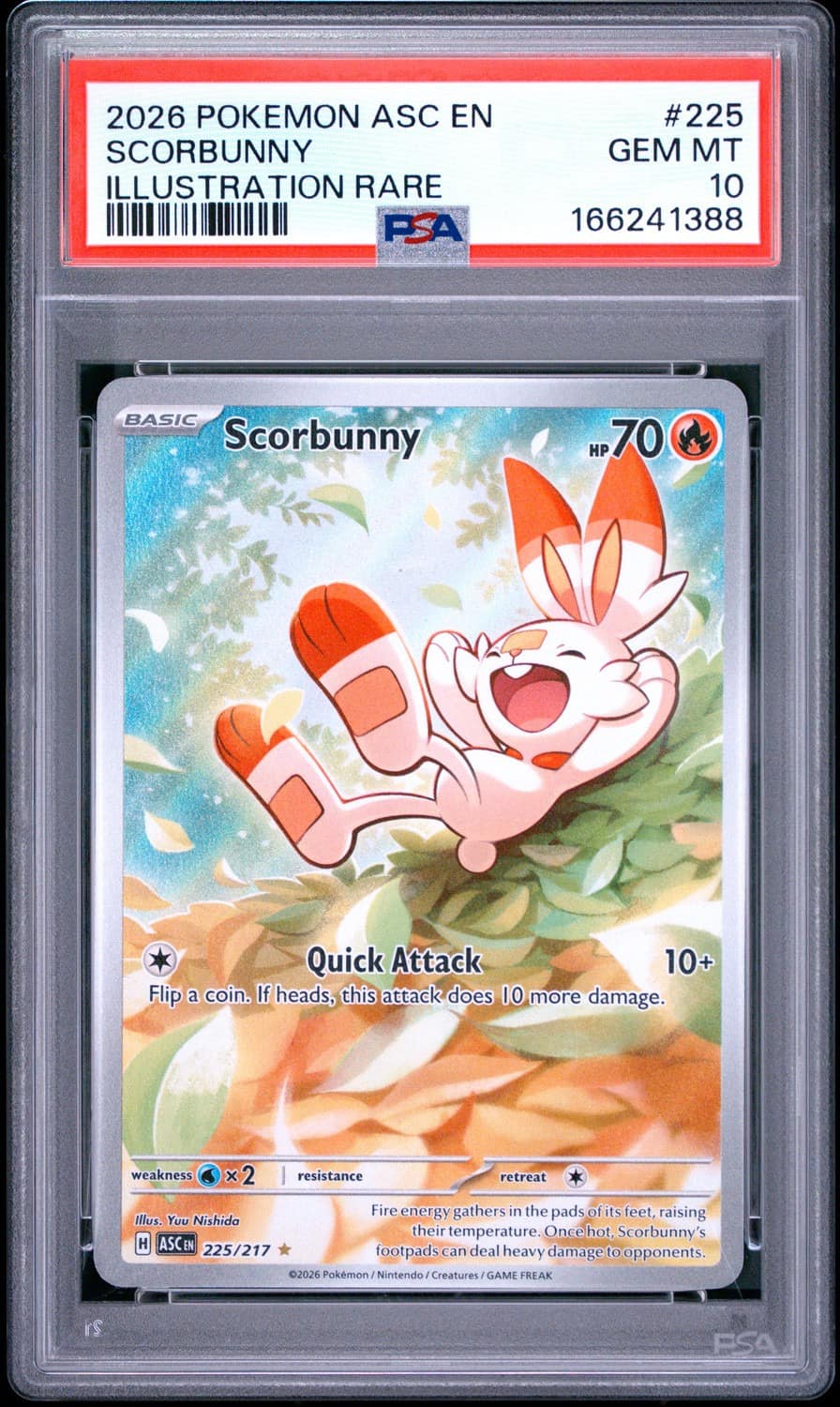 Scorbunny