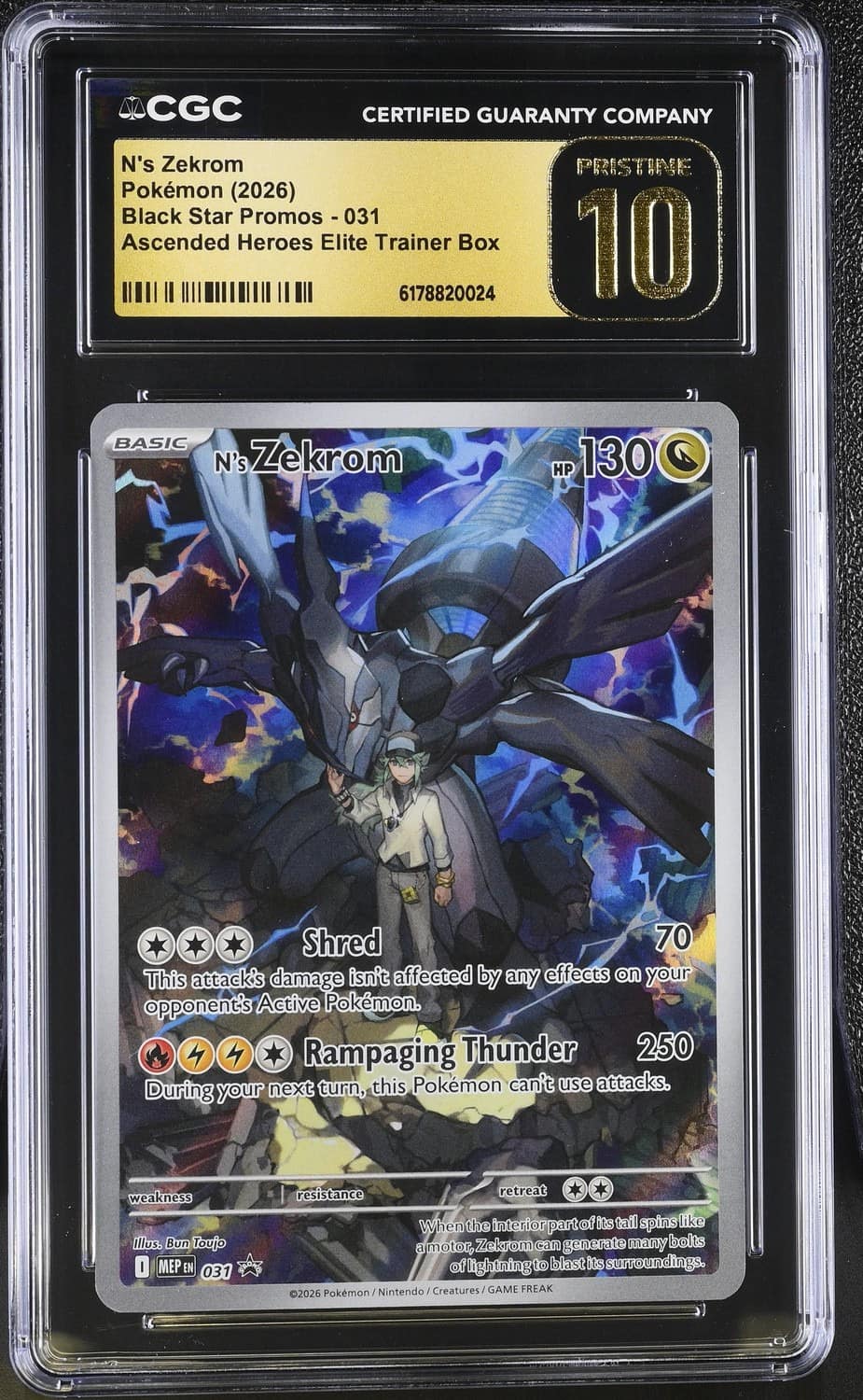 N'S Zekrom