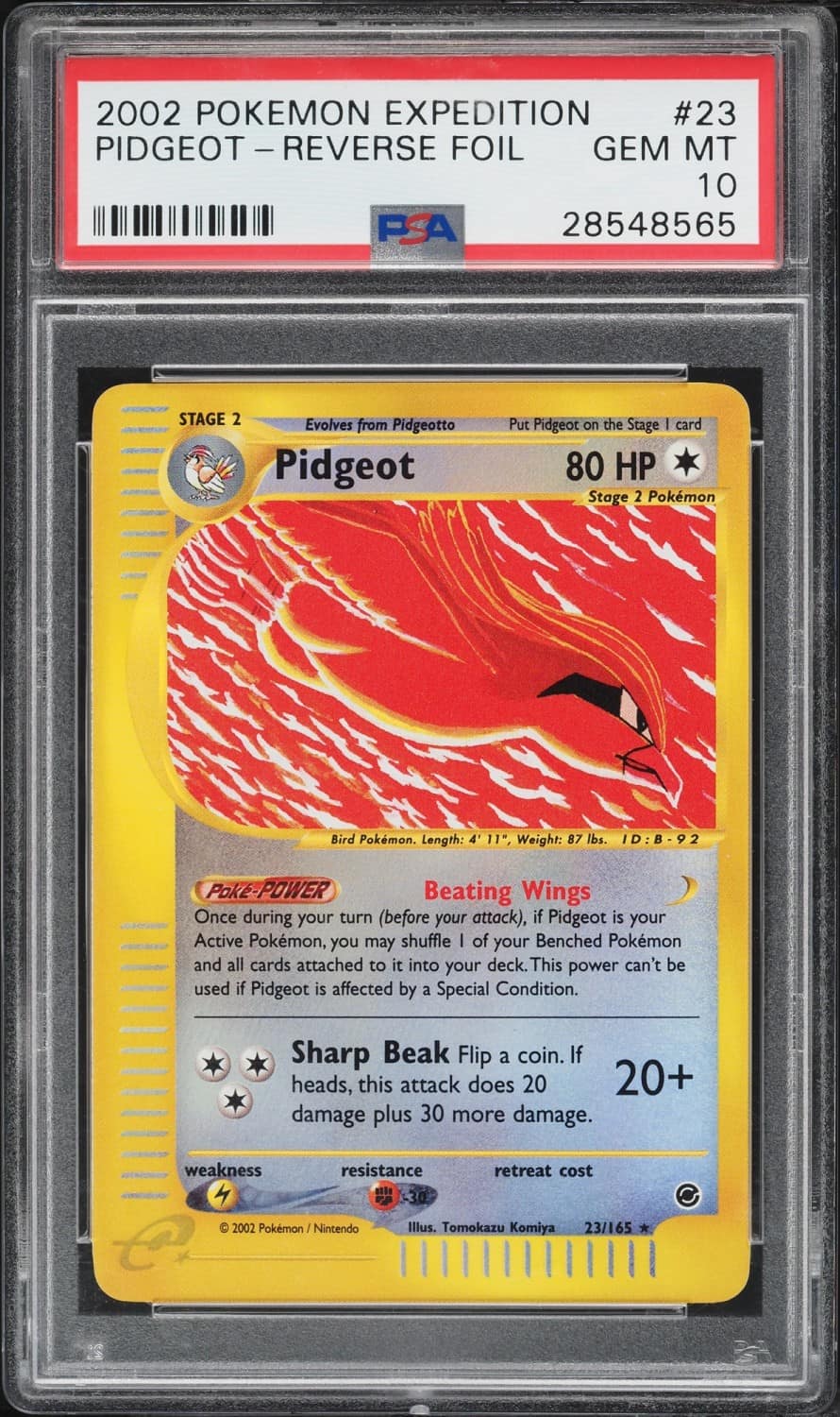 Pidgeot