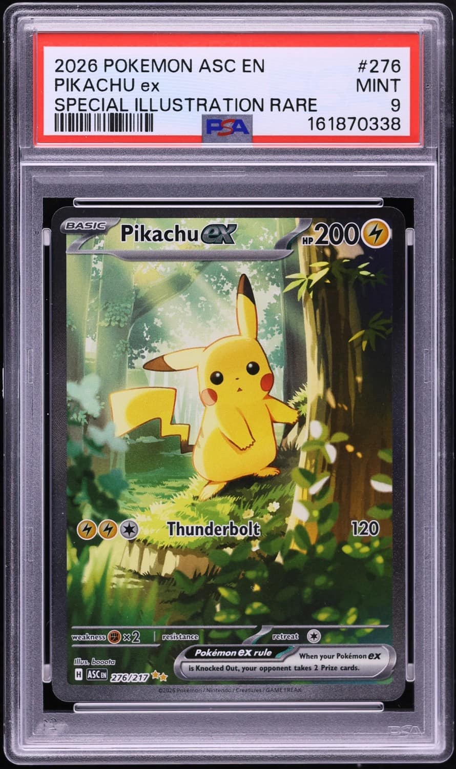 Pikachu Ex