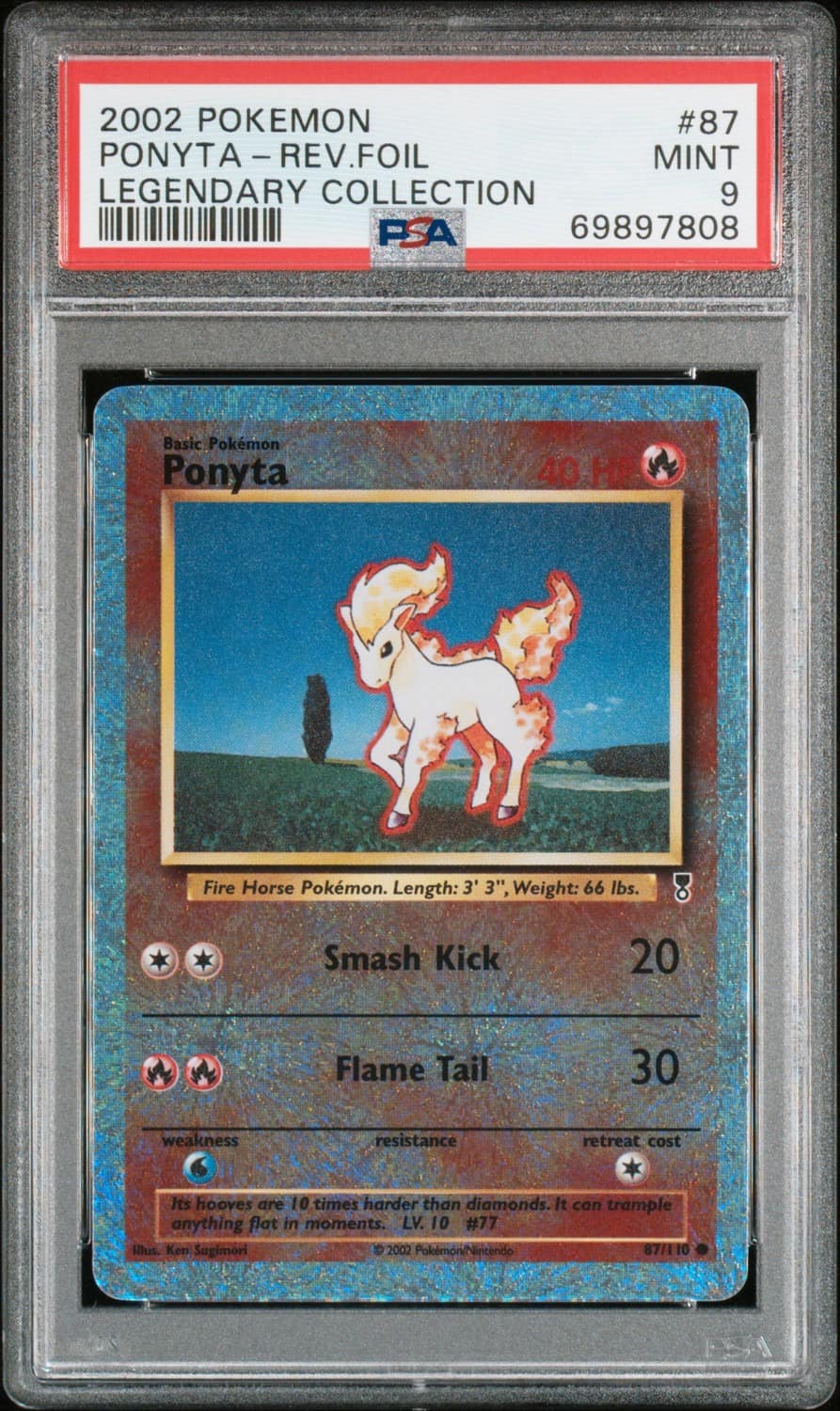 Ponyta