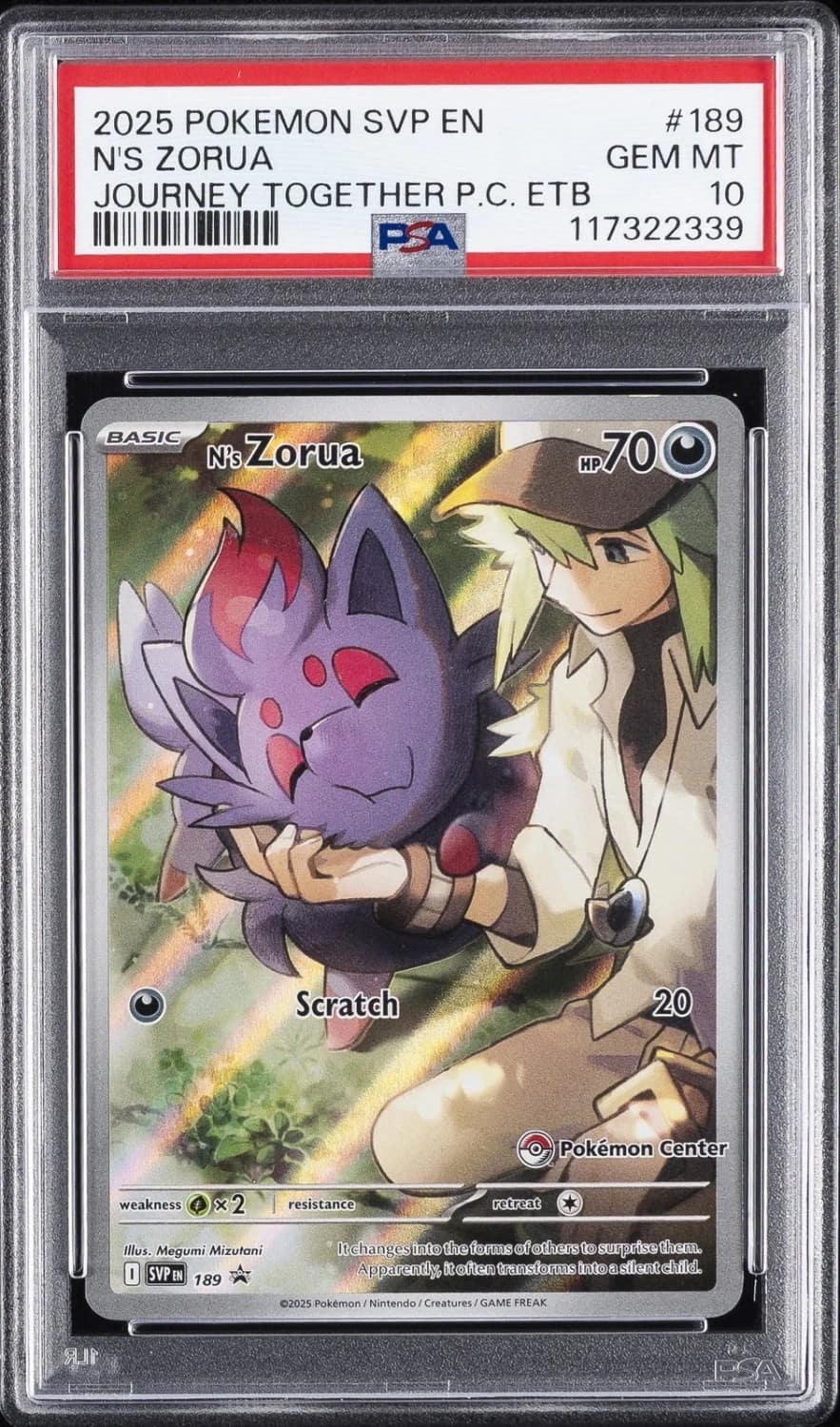 N'S Zorua