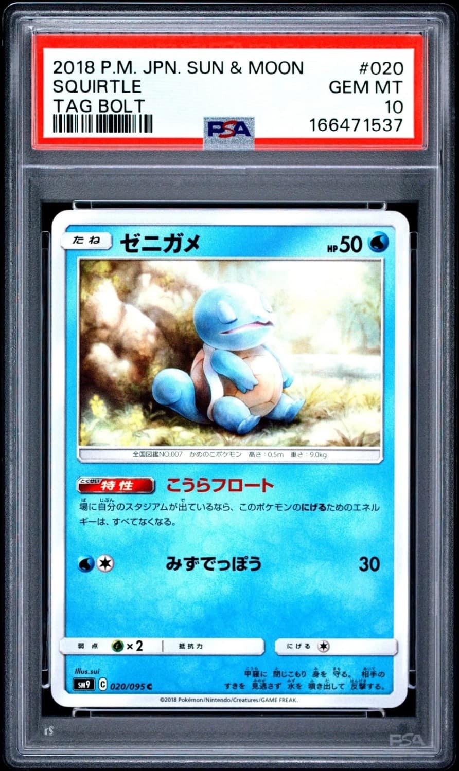 Squirtle