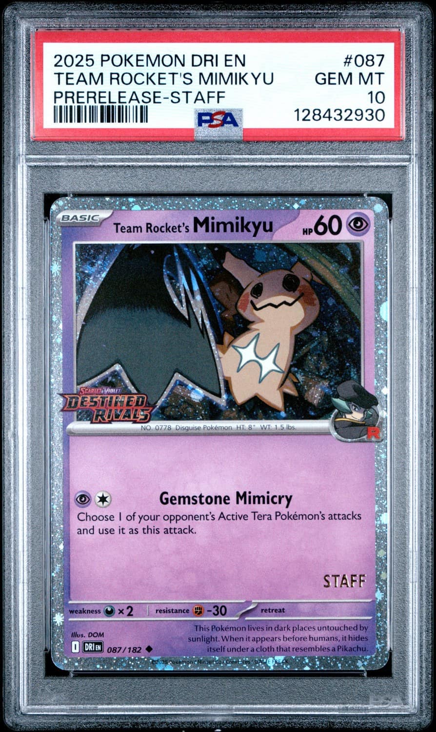 Team Rocket'S Mimikyu