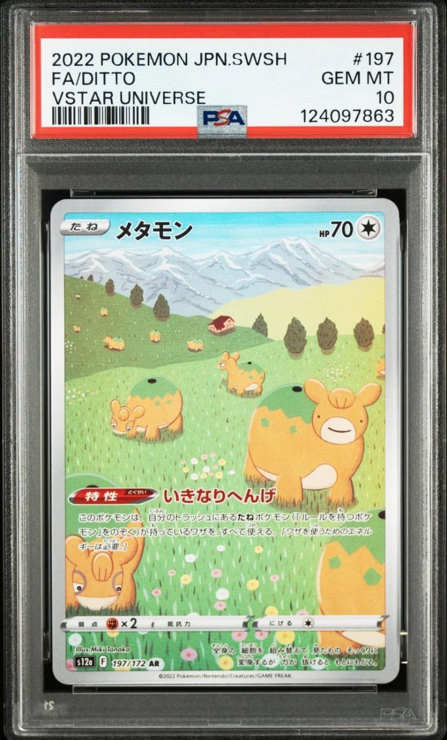 Ditto