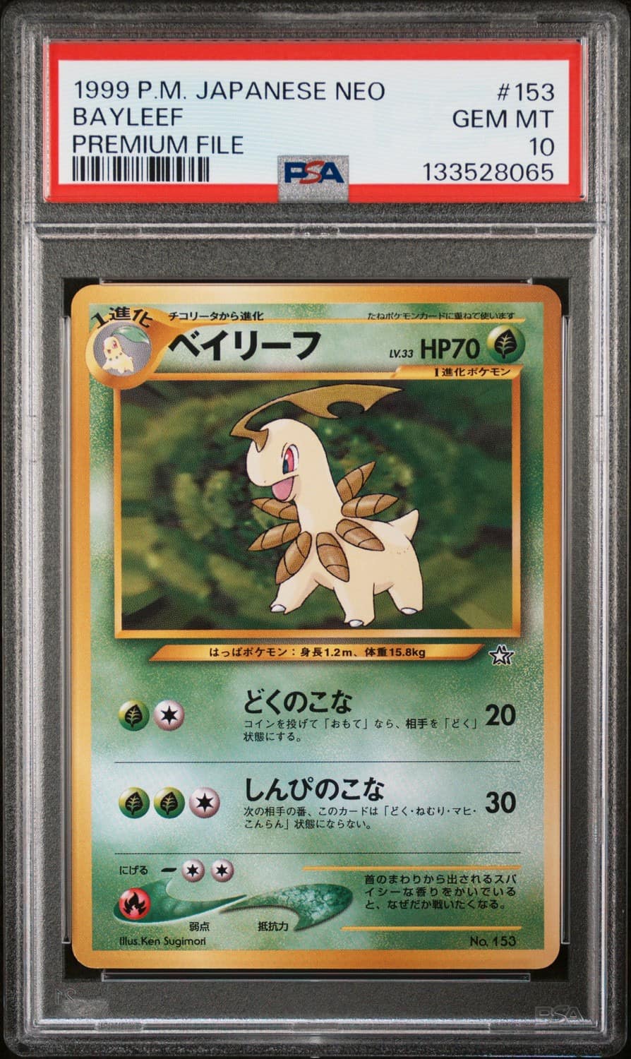 Bayleef