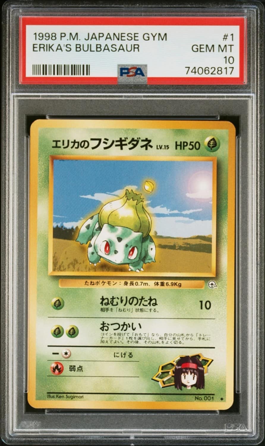 Erika'S Bulbasaur