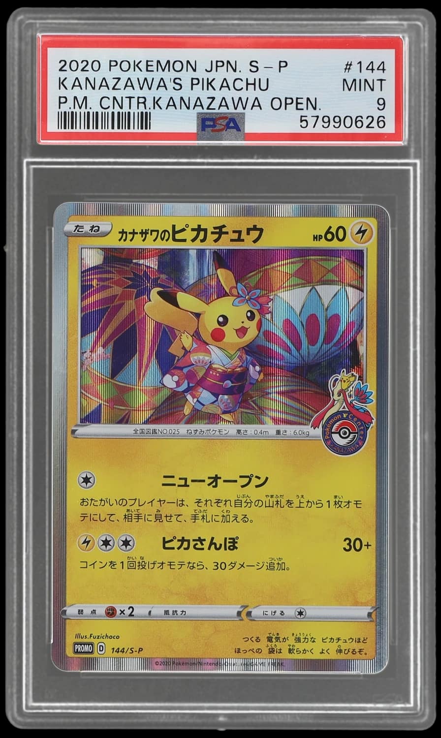 Kanazawa'S Pikachu