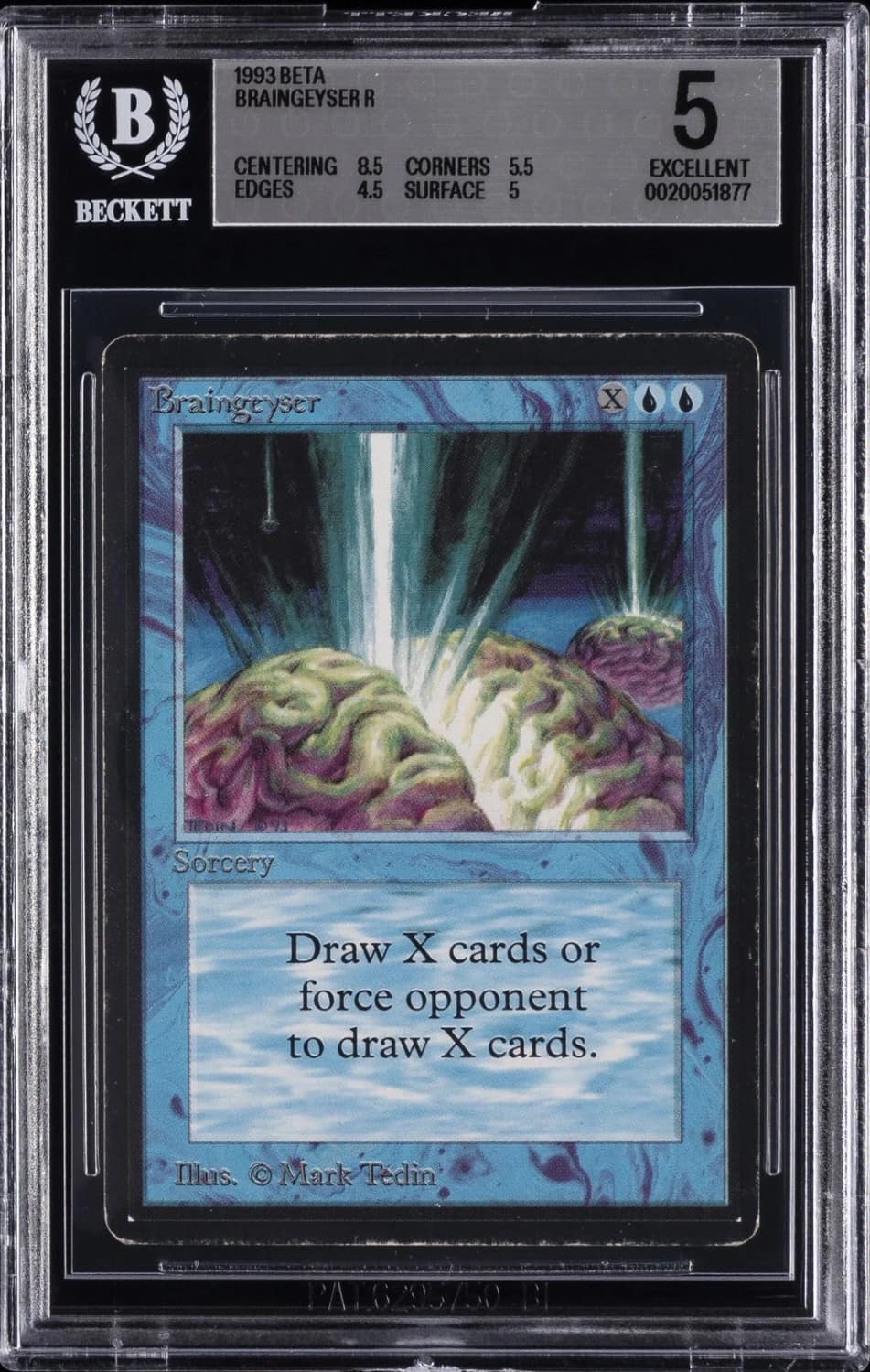 Braingeyser