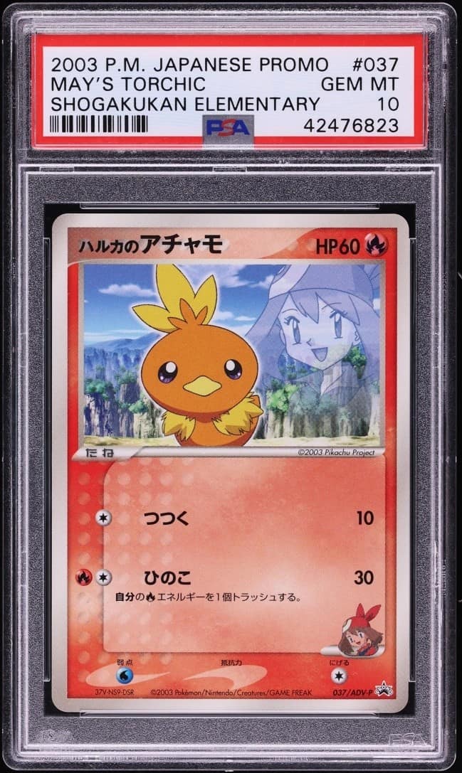 May'S Torchic