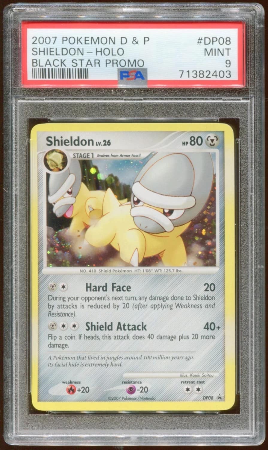 Shieldon