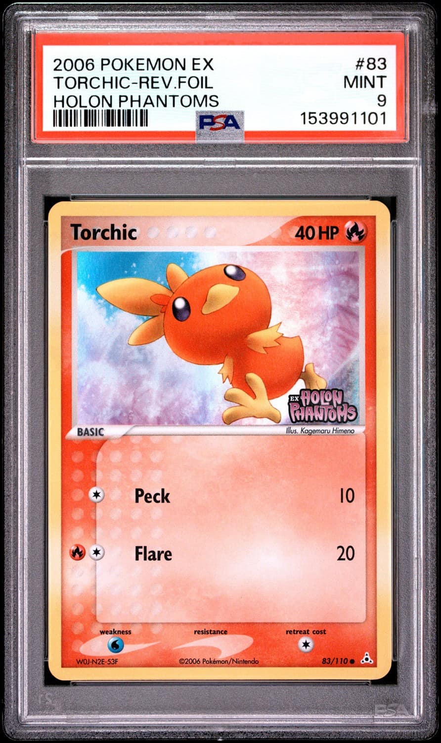 Torchic