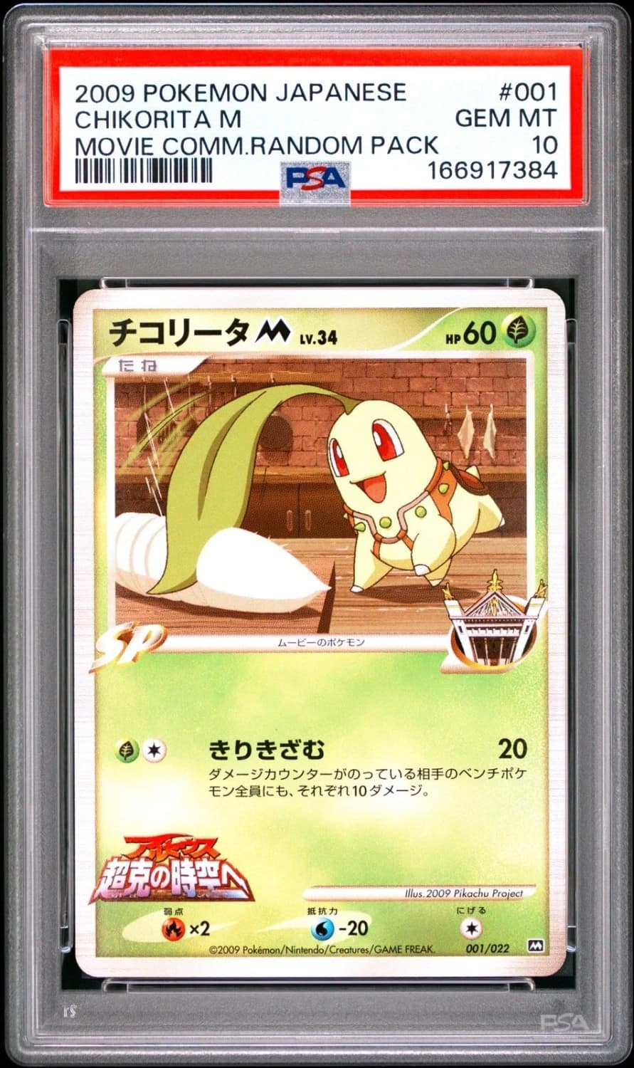 Chikorita M