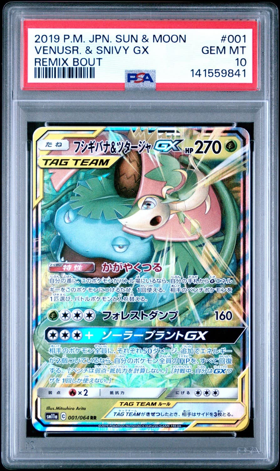 Venusaur & Snivy Gx