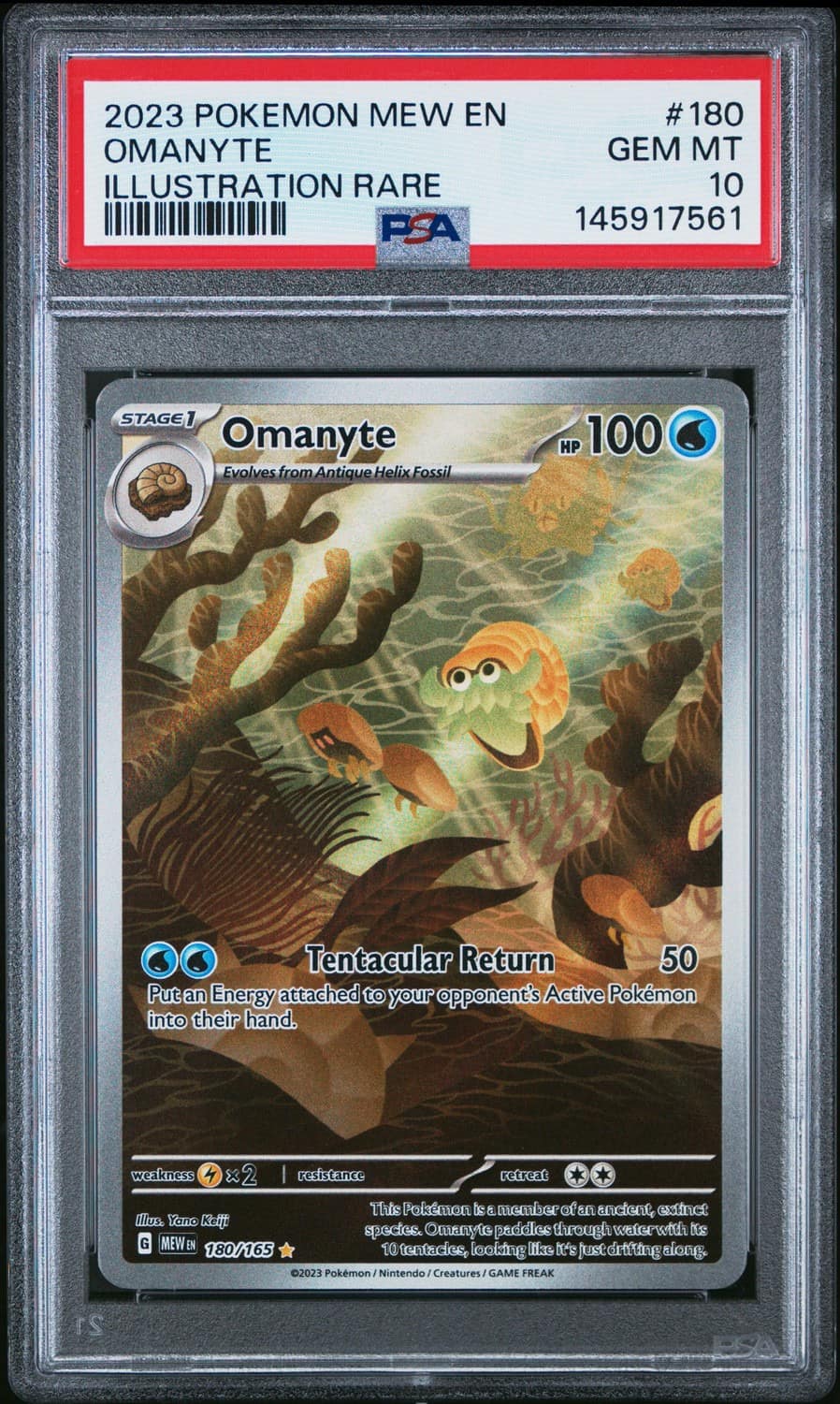 Omanyte