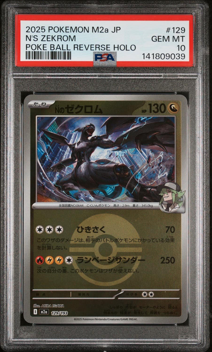 N'S Zekrom