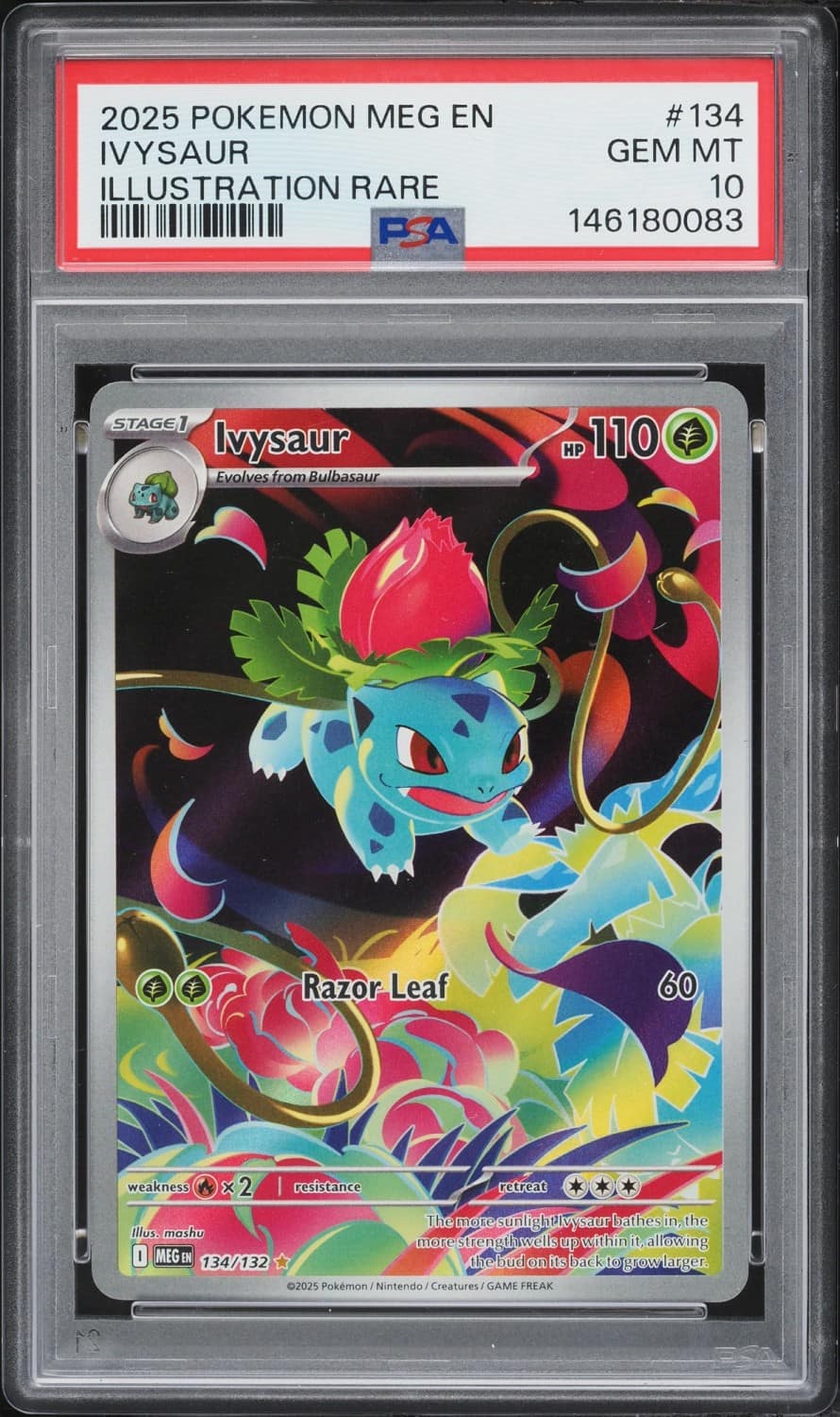 Ivysaur