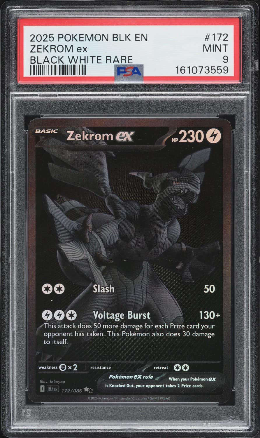 Zekrom Ex