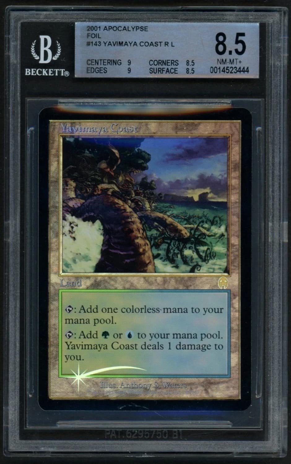 Yavimaya Coast R