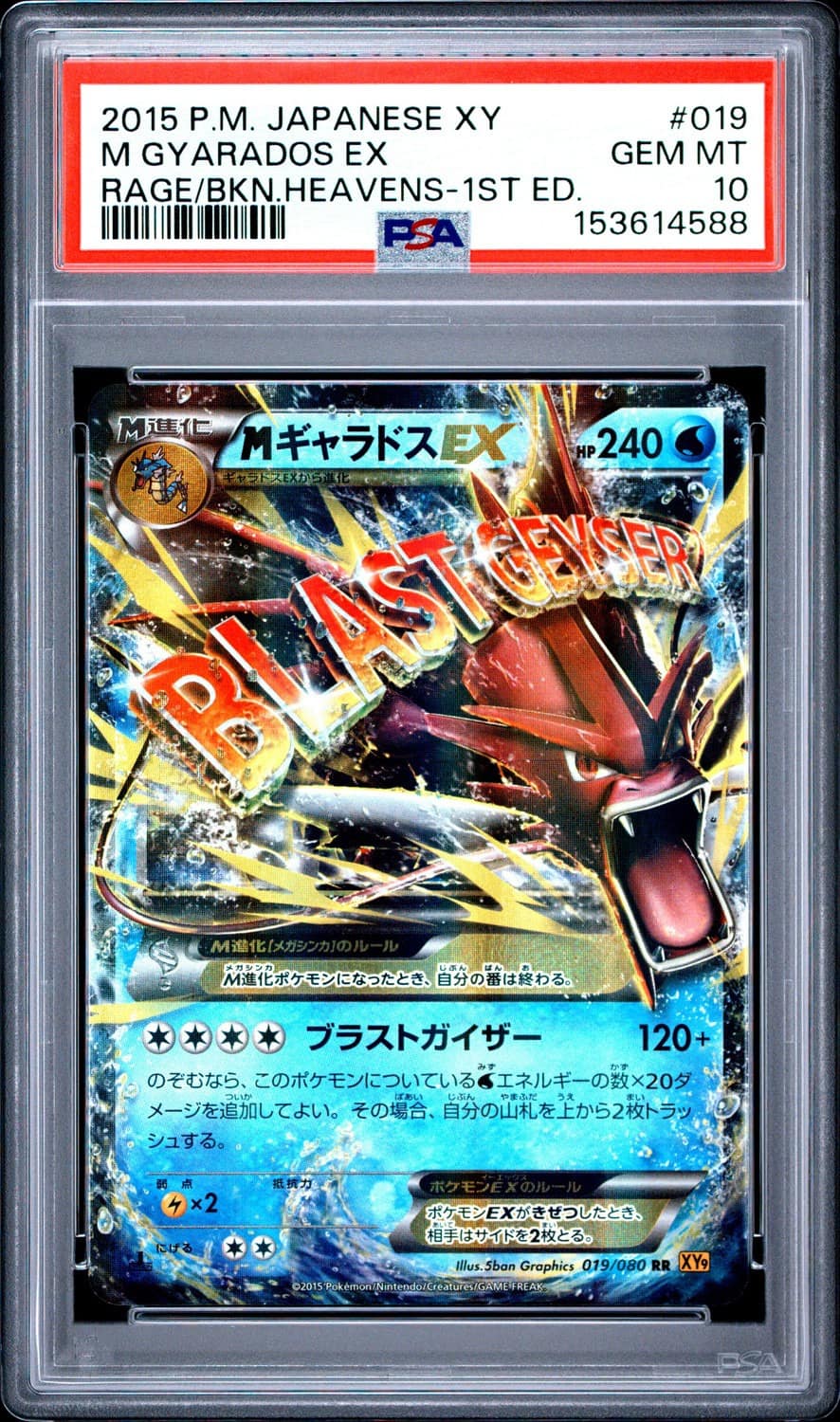 M Gyarados Ex