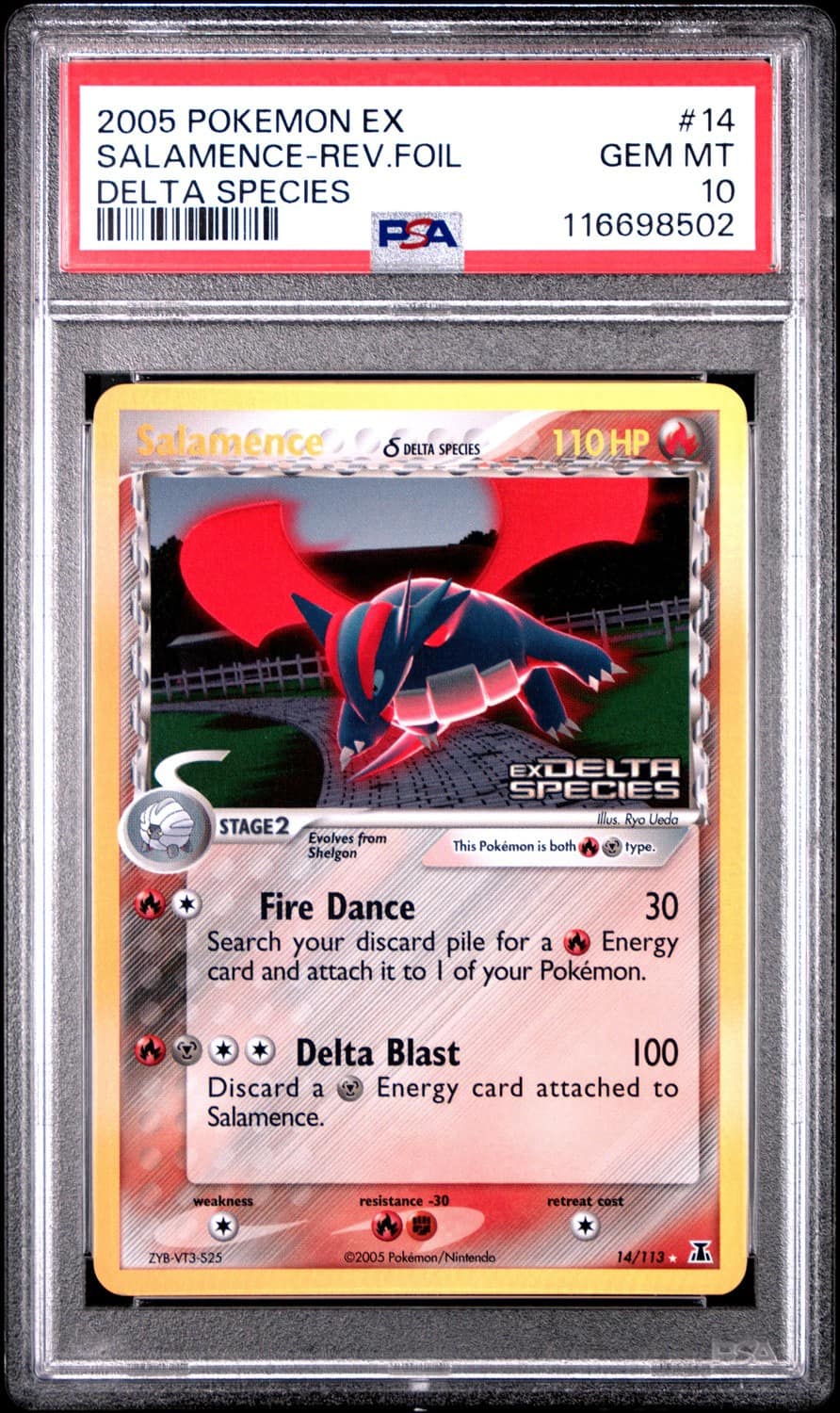 Salamence