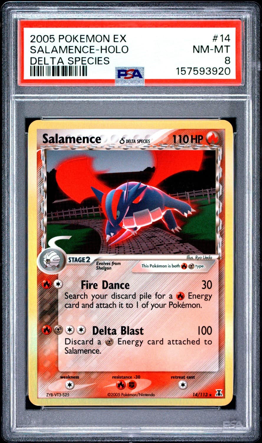 Salamence