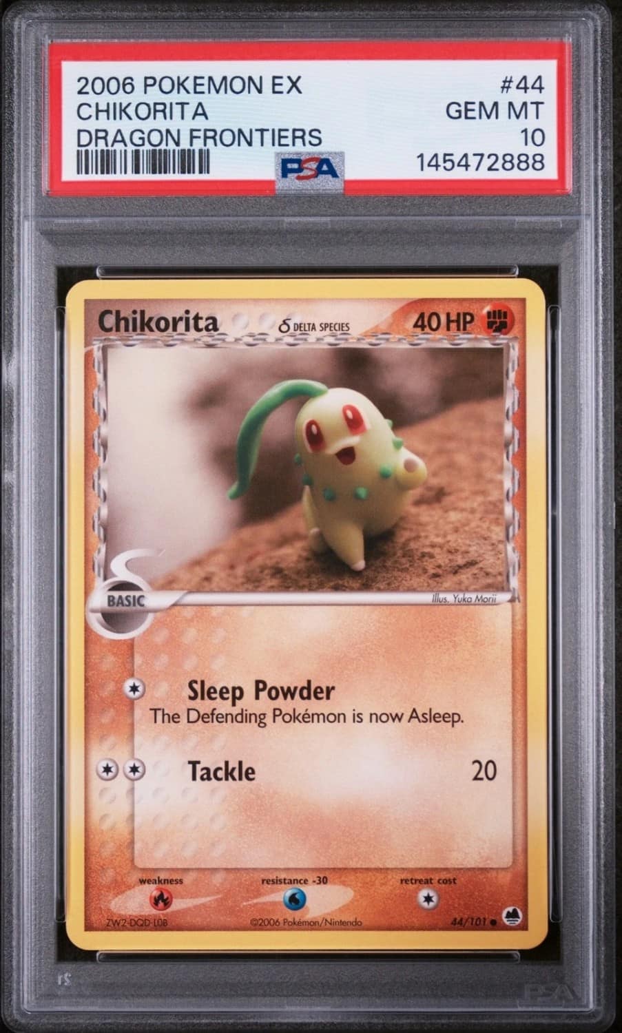 Chikorita δ