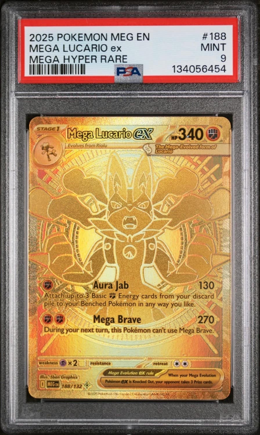Mega Lucario Ex