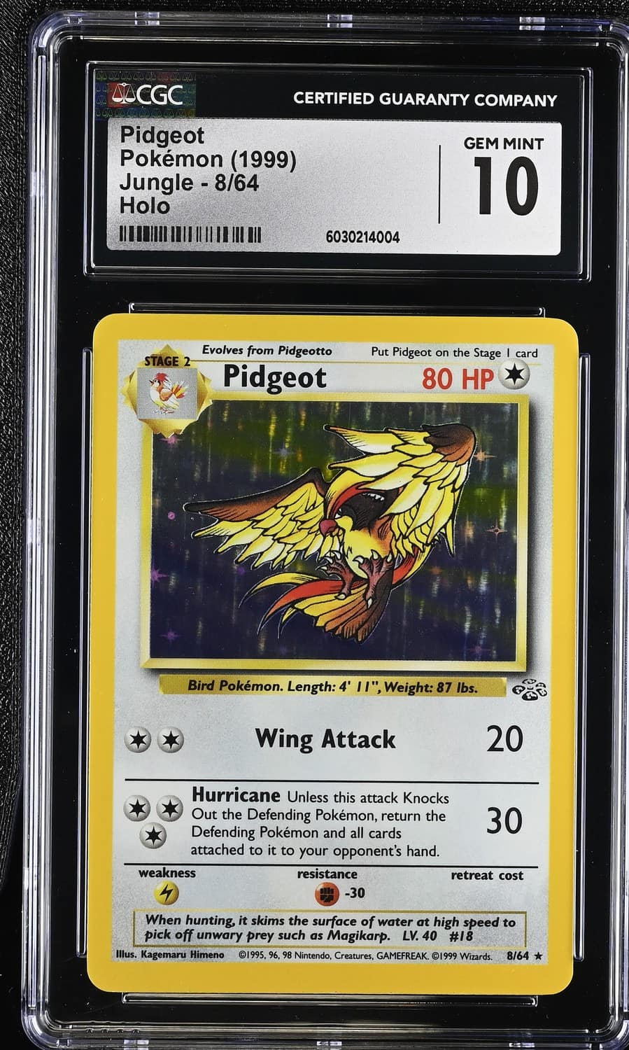 Pidgeot