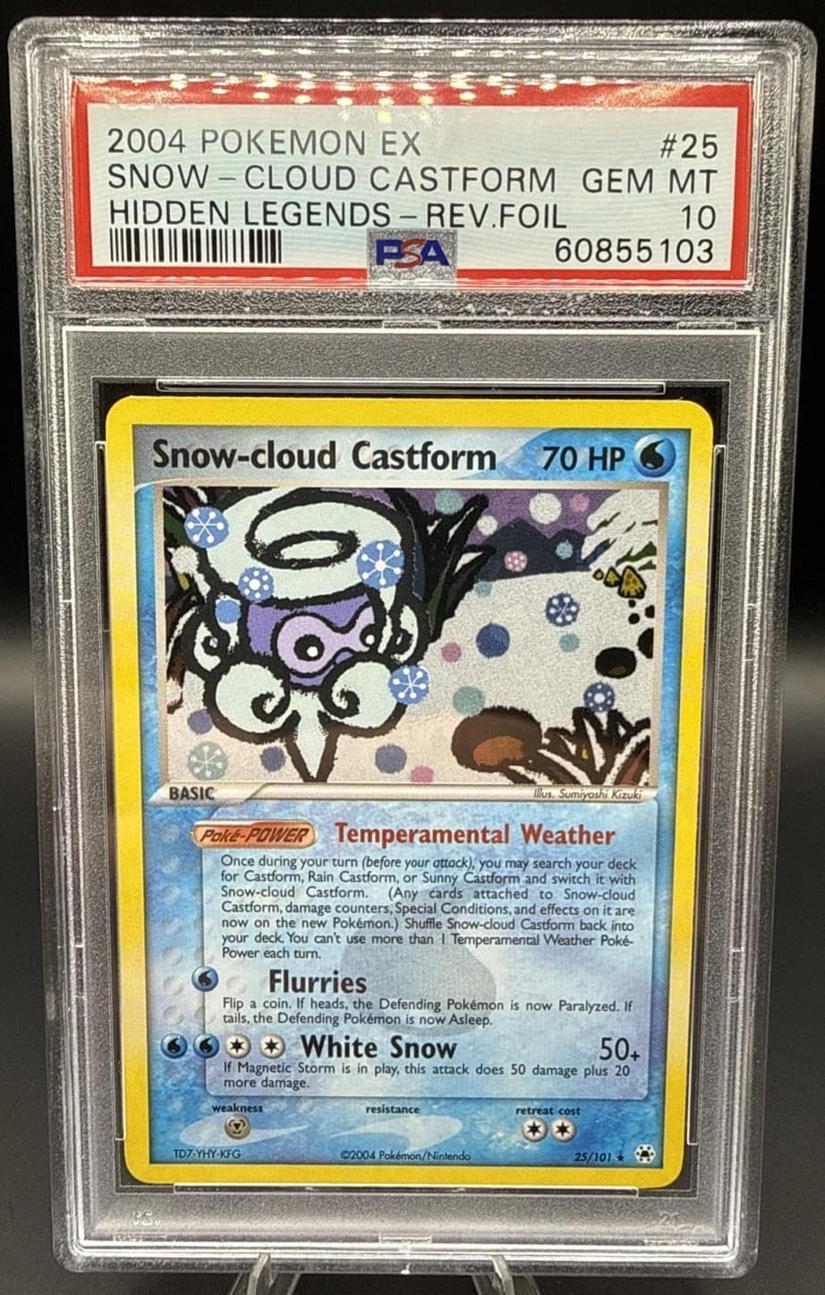 Snow-Cloud Castform
