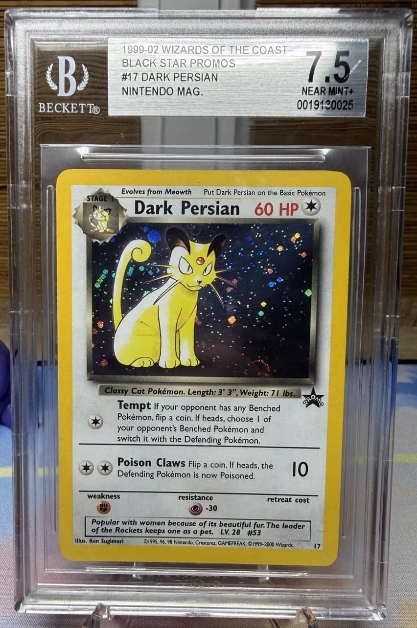 Dark Persian