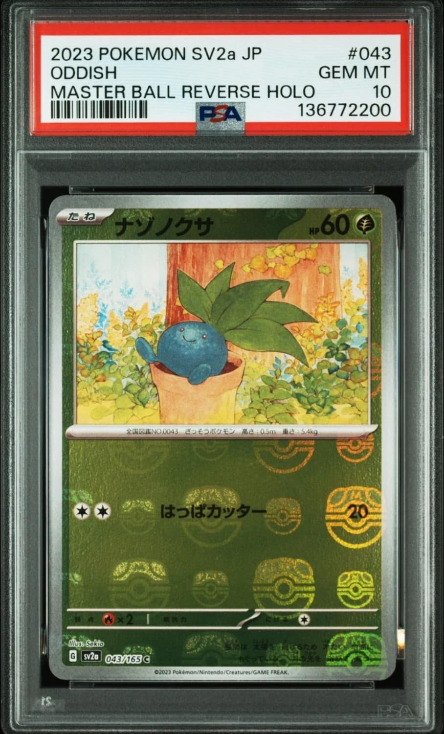 Oddish