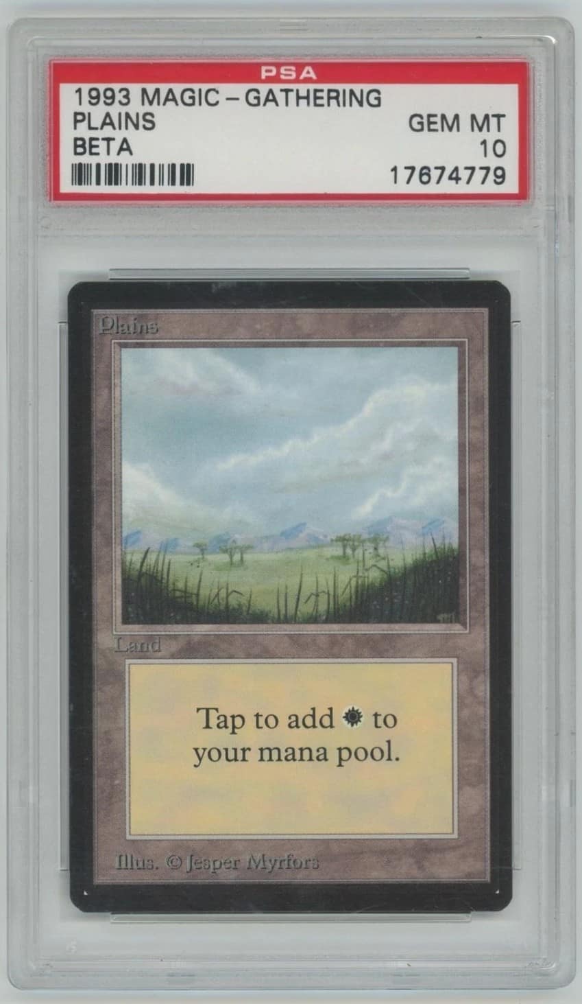 Plains