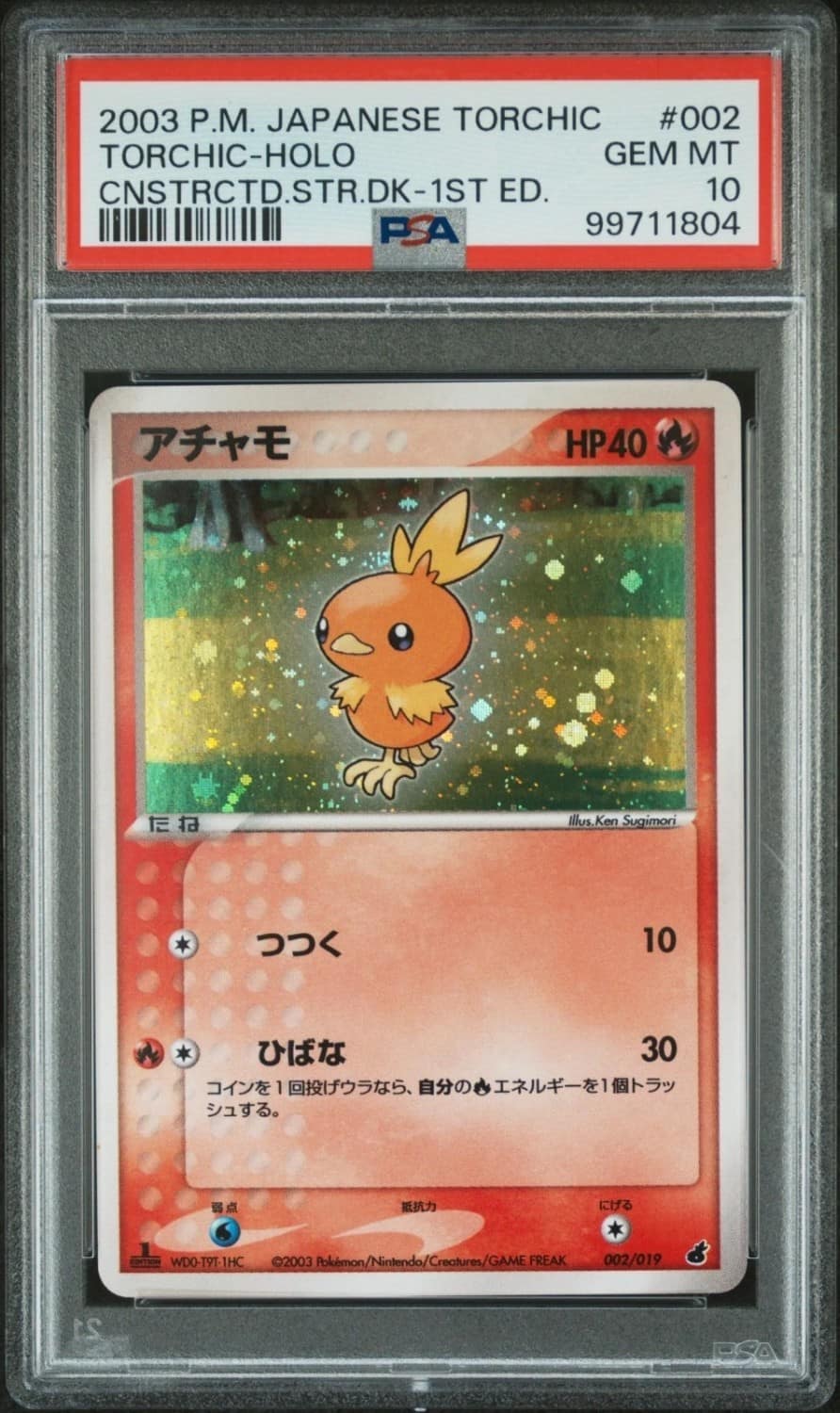 Torchic