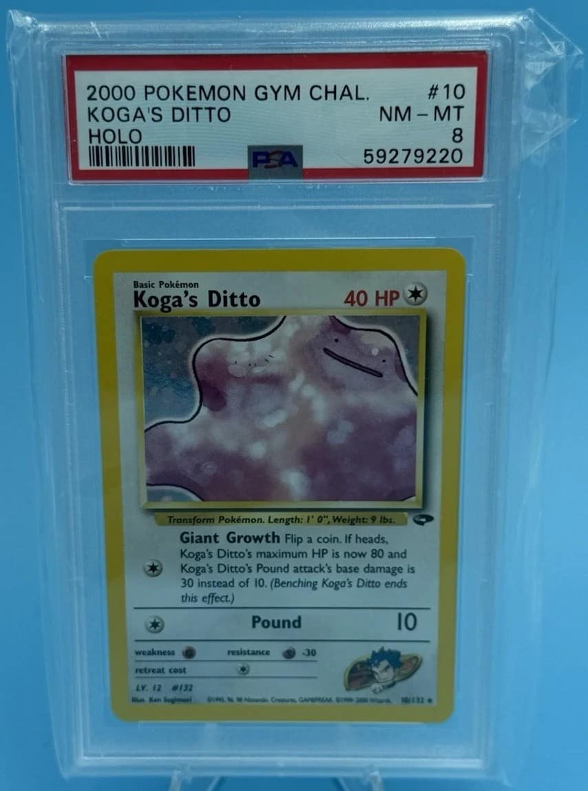 Koga'S Ditto