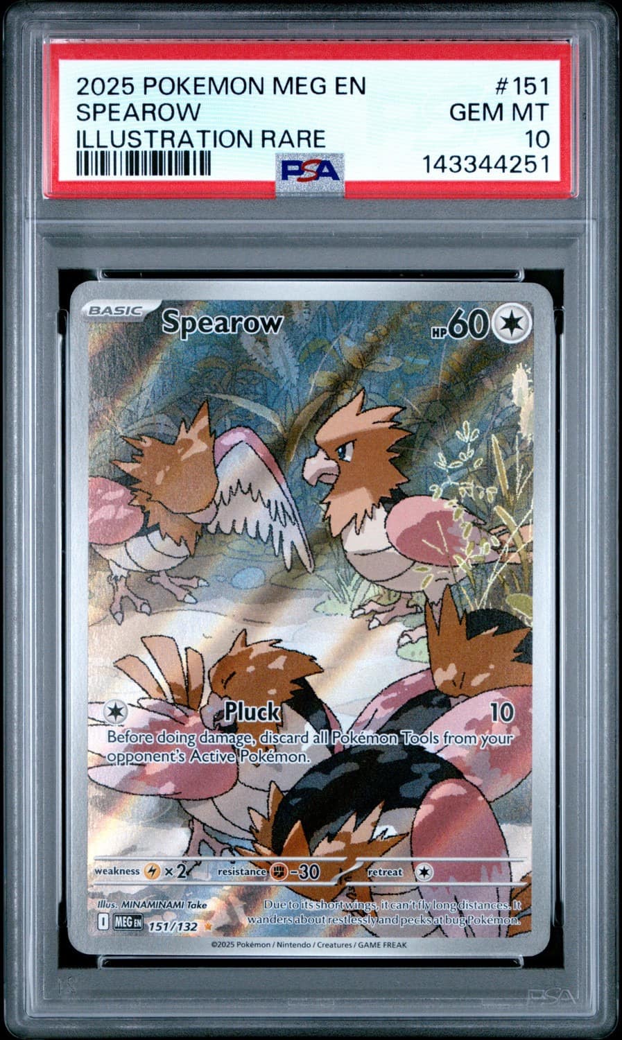 Spearow