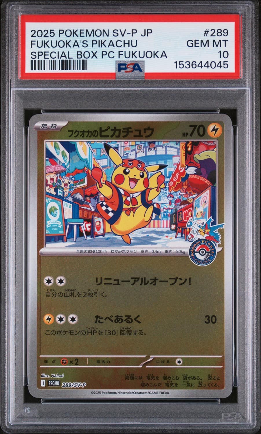 Fukuoka'S Pikachu