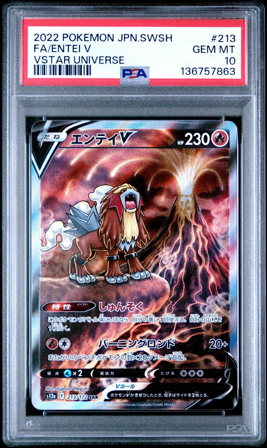 Entei V
