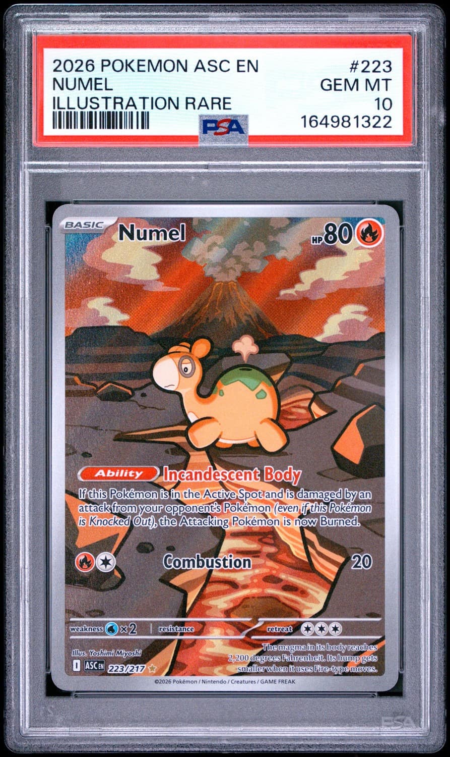 Numel