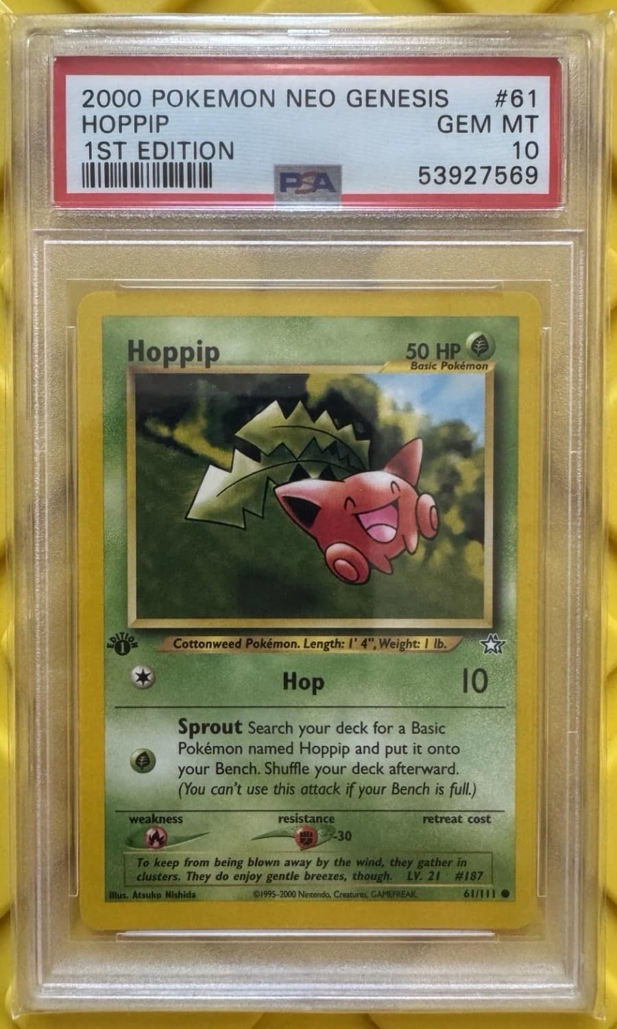 Hoppip