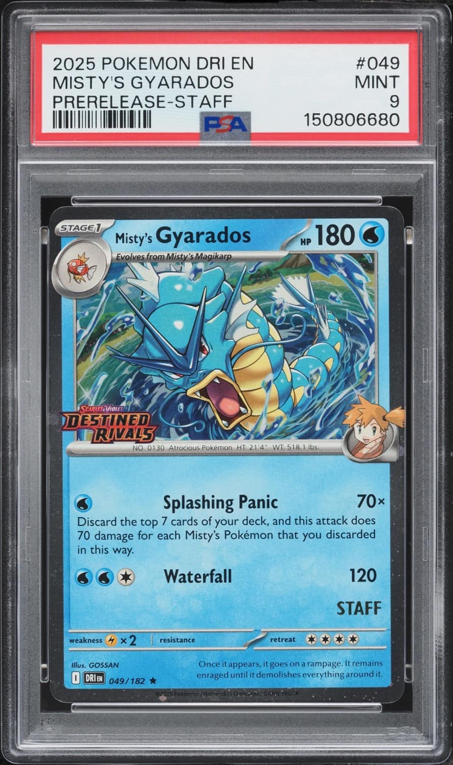 Misty'S Gyarados