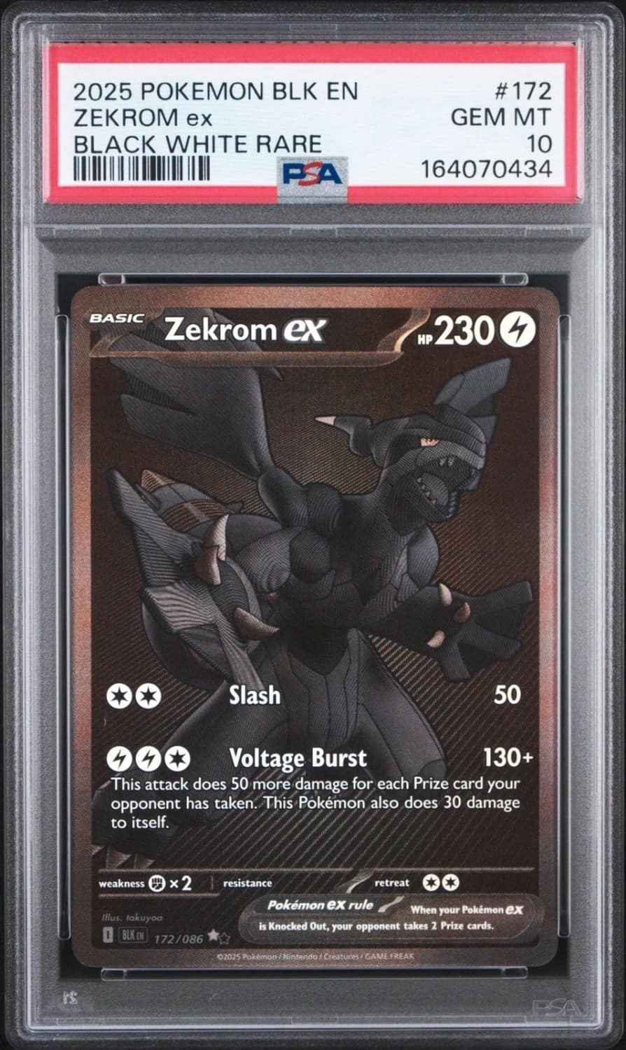 Zekrom Ex