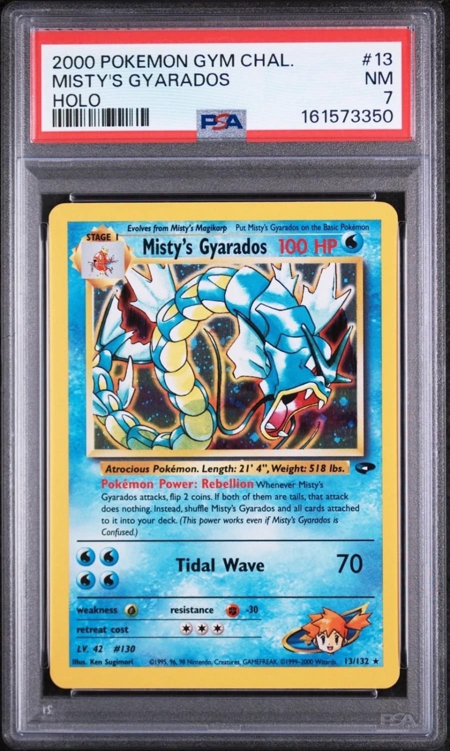 Misty'S Gyarados