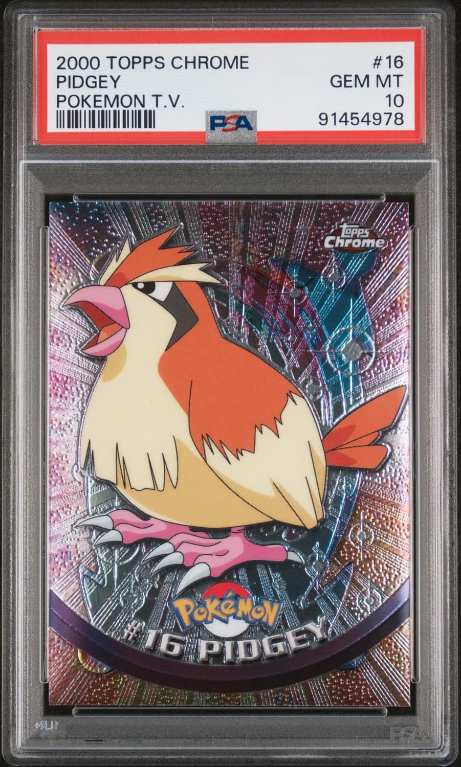 Pidgey
