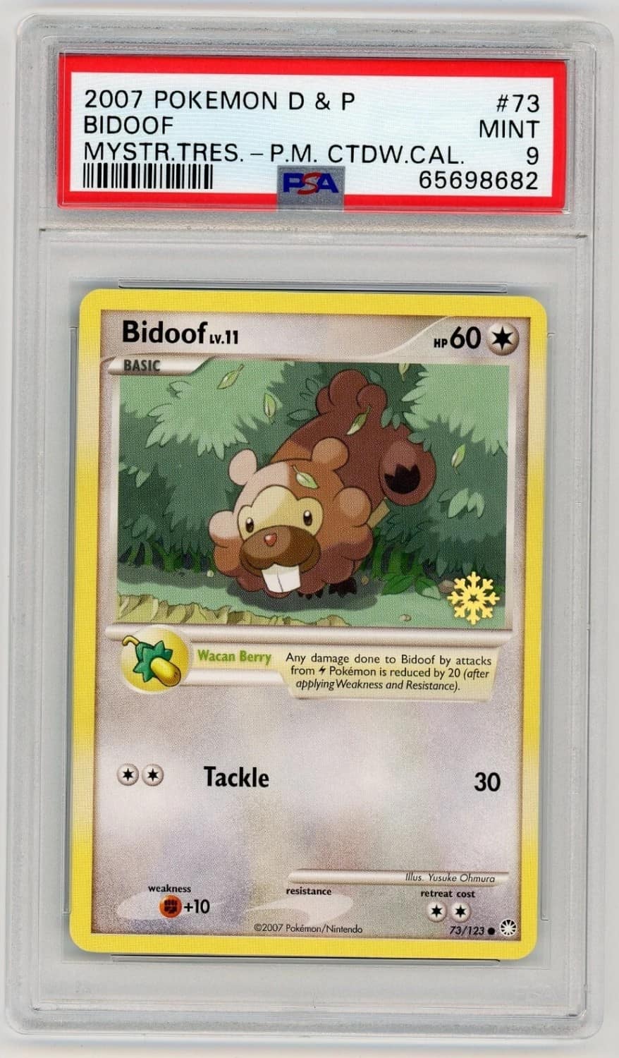 Bidoof