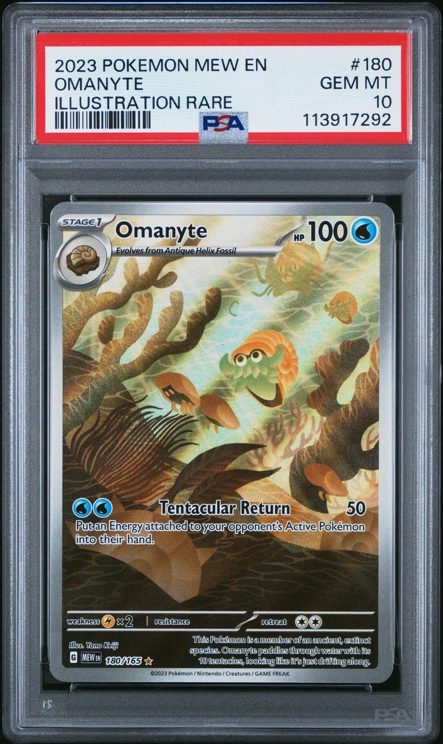 Omanyte
