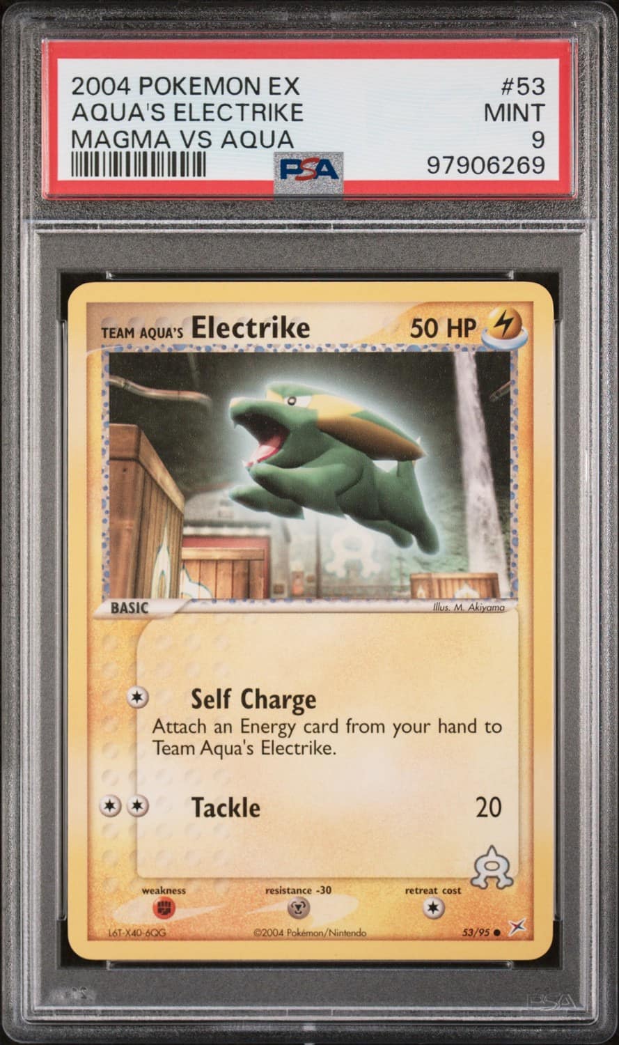 Team Aqua'S Electrike